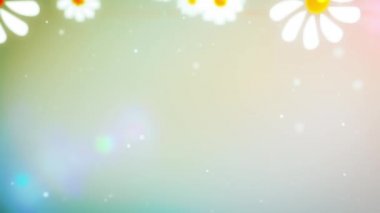 Yavaş yavaş uçan Chamomiles aşağı