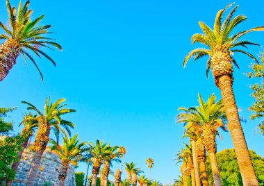 birkaç avuç içi ile plaj