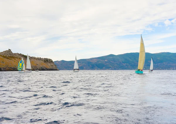 Barcos à vela durante uma regata — Fotografia de Stock