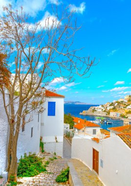 Hydra şehrin havadan görünümü