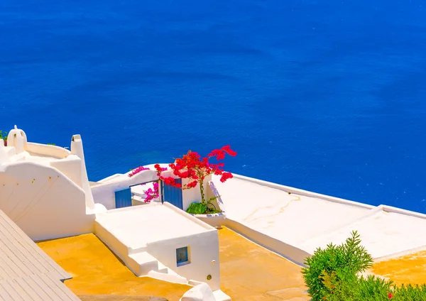 Blue sea and bright flowers — Stock Photo, Image