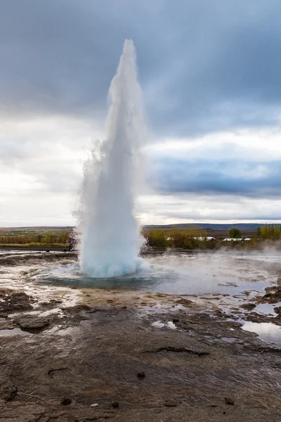 Геотермальна ісландський geysir — стокове фото