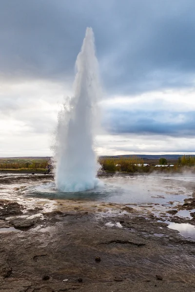 Geotermalnych Islandii geysir — Zdjęcie stockowe