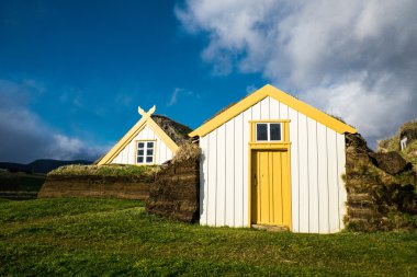 Geleneksel viking ev
