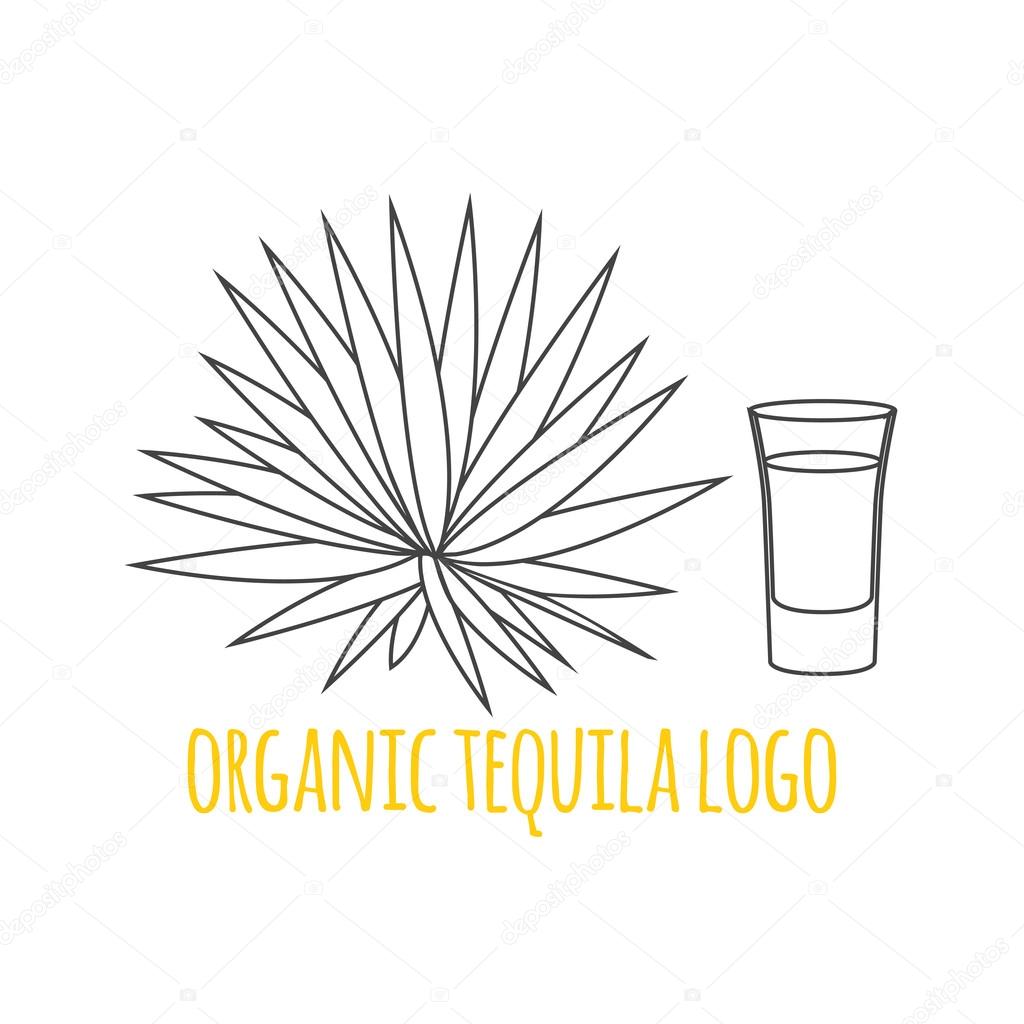 Modern line style logo, branding,  logotype,  badge  with agave and a glass of tequila.  Distillery symbol. Vector illustration.  Thin line icon.