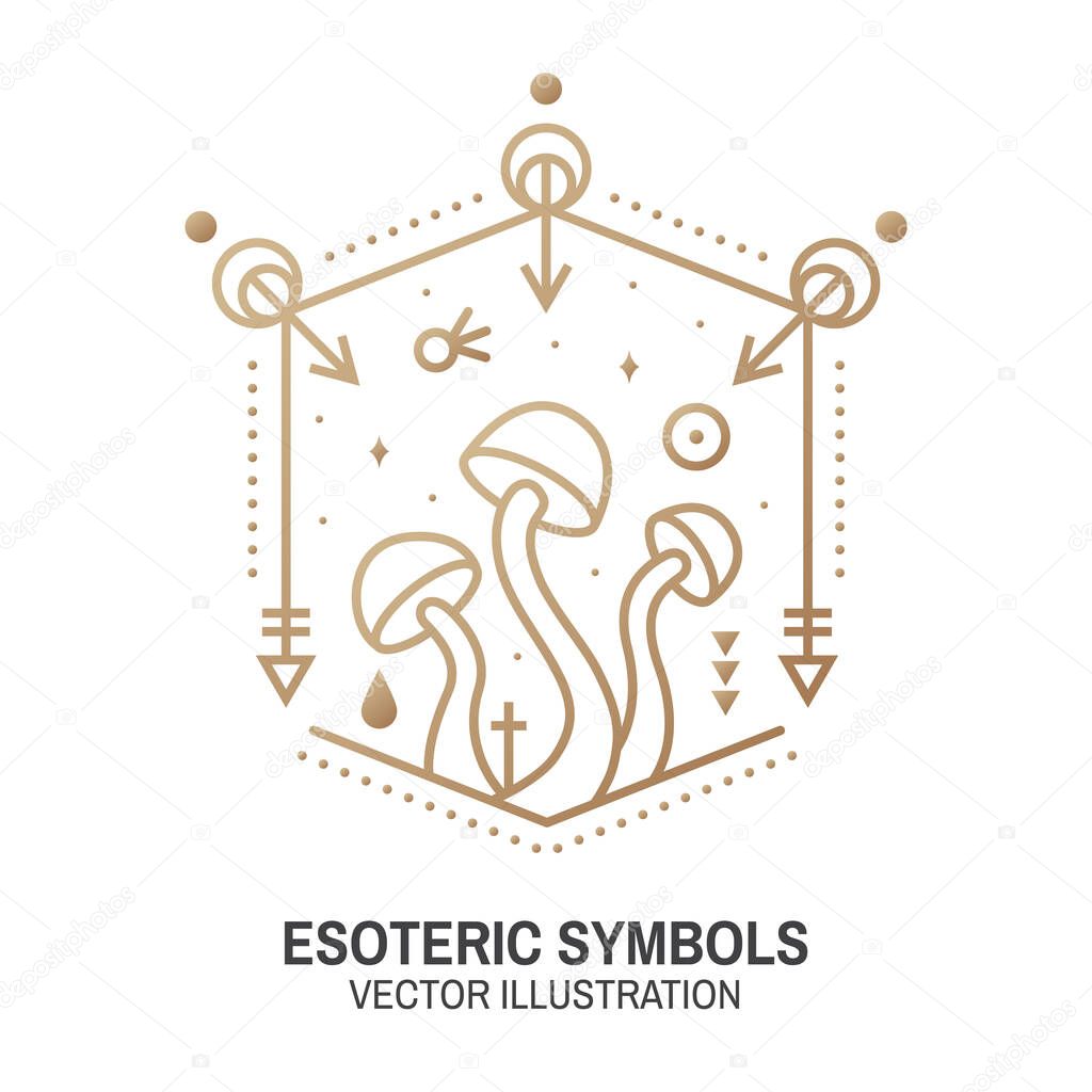 Esoteric symbols. Vector. Thin line geometric badge. Outline icon for alchemy or sacred geometry. Mystic and magic design with alchemy symbols and mushrooms.