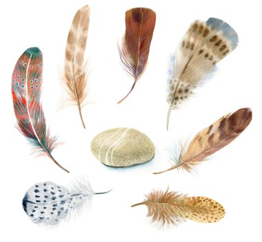 Elle çizilmiş suluboya canlı tüy seti.