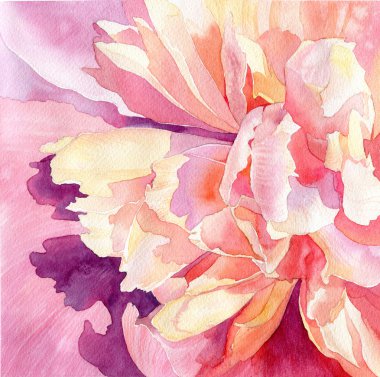 Sanat çiçek suluboya pembe peonies