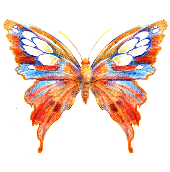 Kézzel rajzolt pillangó — Stock Fotó