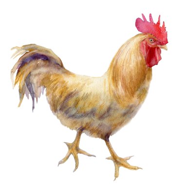 Horoz 2017 suluboya Çin yeni yılı