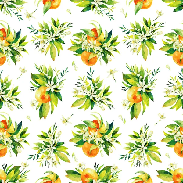 Padrão de citrinos e folhas sem costura aquarela. Folhas verdes e frutas laranja no fundo branco. Mandarina sem costura e laranjas ilustração aquarela — Fotografia de Stock