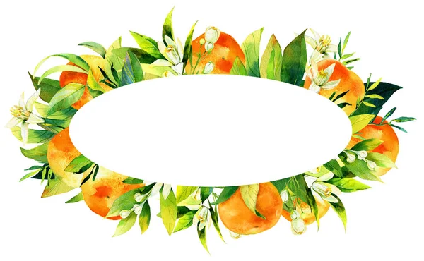 Красива Каркасна Композиція Мальованих Вручну Акварельних Цитрусових Листя Квітів Апельсин — стокове фото