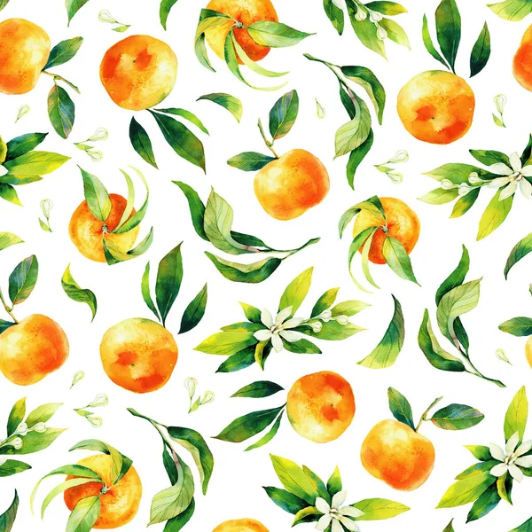 シームレスな水彩柑橘系の果物や葉のパターン 白を基調とした緑色の葉と橙色の果実 包装紙 壁紙のためのシームレスなみかんとオレンジの水彩イラスト — ストック写真