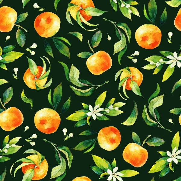 Nahtlose Aquarellzeichnung von Zitrusfrüchten und Blättern. Grüne Blätter und orangefarbene Früchte auf dunklem Hintergrund. Nahtlose Illustration von Mandarinen und Orangen in Aquarell — Stockfoto