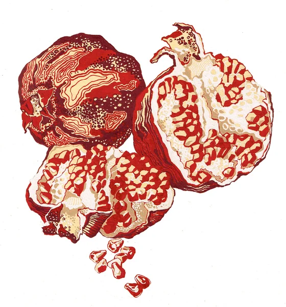 Handbemalte Granatäpfel isoliert auf weißem Hintergrund — Stockfoto