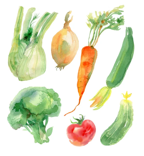 Aquarell Gemüse Set — Stockfoto