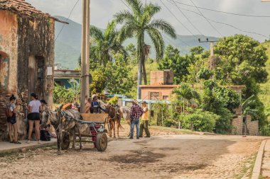 Trinidad, Küba - 15 Temmuz 2018: Yerel halk Trinidad Küba 'da yemyeşil ve tarihi binalarla çevrili sakin bir sokakta atlarla günlük faaliyetlerde bulunuyor.