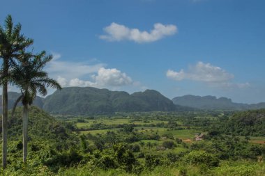 Vinales, Küba - 10 Temmuz 2018 Vinales Vadisi boyunca uzanan yemyeşil alanlar uzak dağların oluşturduğu açık mavi bir gökyüzü altında çarpıcı bir zemin oluşturur..