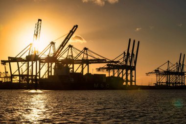 Rotterdam, Hollanda - 22 Kasım 2021: Otomatik vinçler Rotterdam 'ın yoğun liman bölgesinde gün batımında bir gemiden konteynırları boşaltmak için etkili bir şekilde çalışıyor.