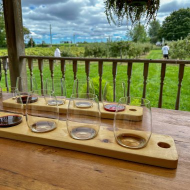 Port Perry, Kanada - 13 Ağustos 2023: Kırsal kesimdeki şarap tadımı sırasında şarap kadehlerinin uçuşu