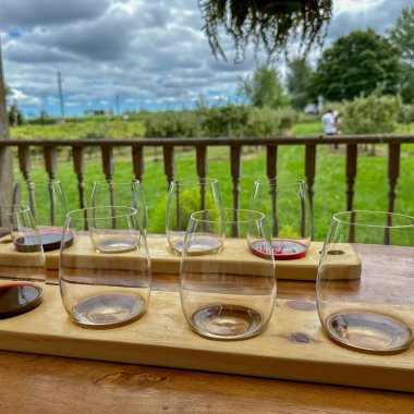 Port Perry, Kanada - 13 Ağustos 2023: Kırsal kesimdeki şarap tadımı sırasında şarap kadehlerinin uçuşu