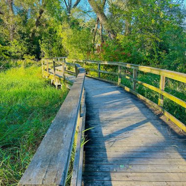 Port Perry, Kanada - 12 Ağustos 2023: bataklık ve gölün etrafındaki yeşilliklerle dolu bir sahil yürüyüşü.