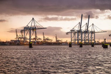 Rotterdam, Hollanda - 22 Kasım 2021: Otomatik vinçler Rotterdam limanındaki gemilerden gece boyunca konteynırlar indiriyor