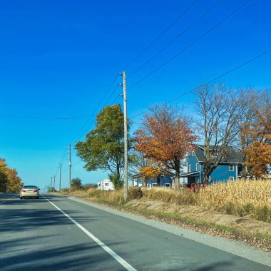 Port Perry, Kanada - 23 Ekim 2022: Kanada kırsalında sonbahar renkli ağaçlarla boyanmış mavi renkte bir ahır ve çiftlik