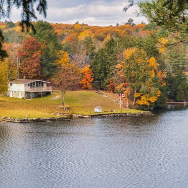 kawartha lakes, canada - 20 October 2022: a cabin on the shore of a small lake in the kawartha lakes region in fall colors