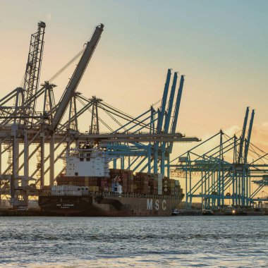 Rotterdam, Hollanda - 22 Kasım 2021: Güverte gemisindeki konteynırları boşaltmak için devasa yarıdan ve tamamen otomatik vinçlerden oluşan hatlar