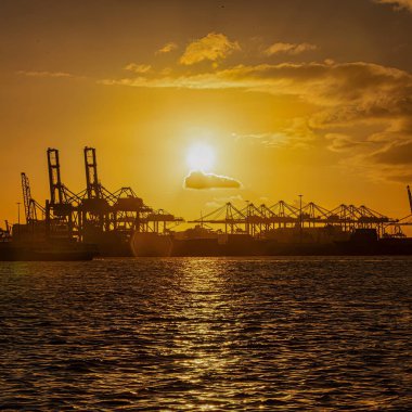 Rotterdam, Hollanda - 22 Kasım 2021: Limandaki gemilerin konteynırlarını boşaltmak için devasa yarıdan ve tamamen otomatik vinçlerden oluşan hatlar