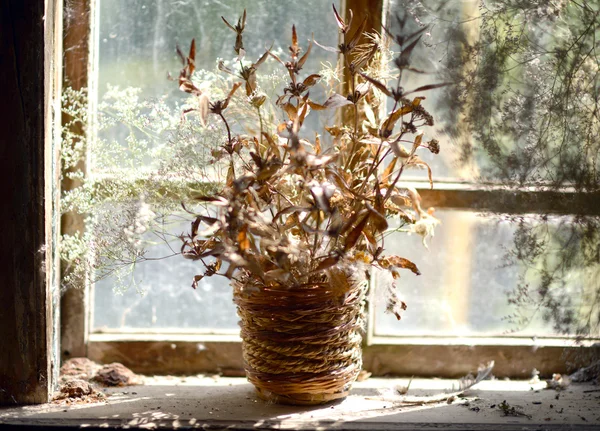 Korb mit getrockneten Blumen. Strauß getrockneter Blumen am Fenster im alten Haus. — Stockfoto