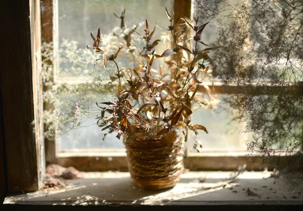 Cesta com flores secas. Buquê de flores secas na janela da casa velha . — Fotografia de Stock