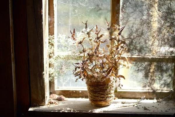 Cesta com flores secas. Buquê de flores secas na janela da casa velha . — Fotografia de Stock