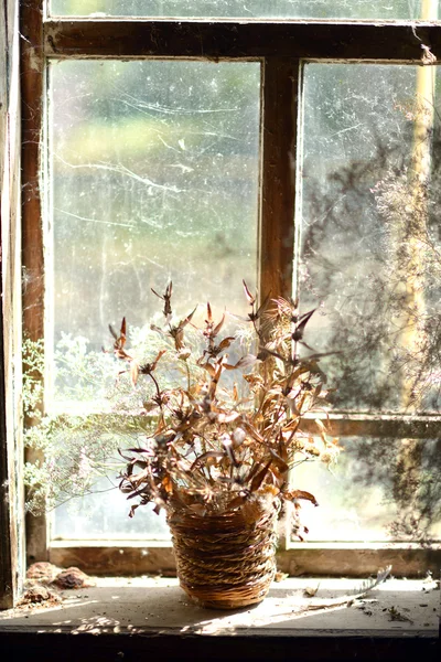 Cesta com flores secas. Buquê de flores secas na janela da casa velha . — Fotografia de Stock