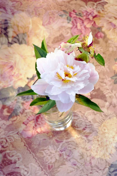 Pink peony in a vase. Glass vase. The cut flower.
