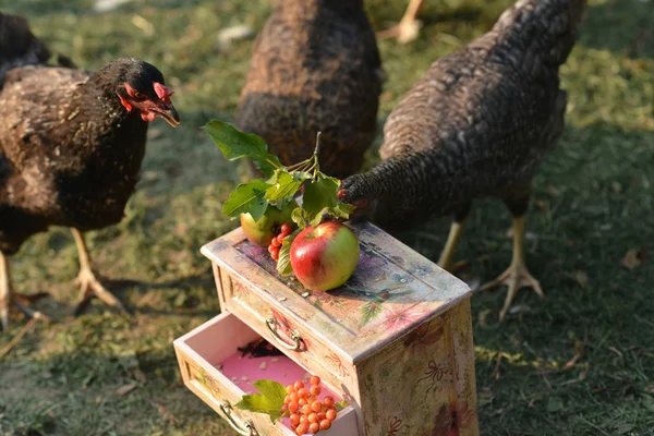 Vintage dresser . Farm yard.