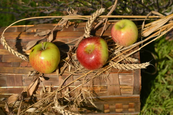 Bodegón con manzanas maduras, peras y espiguillas de trigo — Foto de Stock