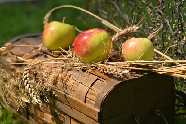 Stillleben mit reifen Äpfeln, Birnen und Weizenstacheln — Stockfoto