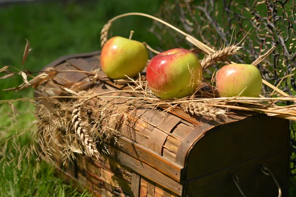Натюрморт с спелыми яблоками, грушами и пшеничными шипами — стоковое фото