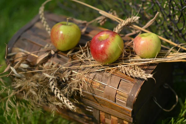 Stillleben mit reifen Äpfeln, Birnen und Weizenstacheln — Stockfoto