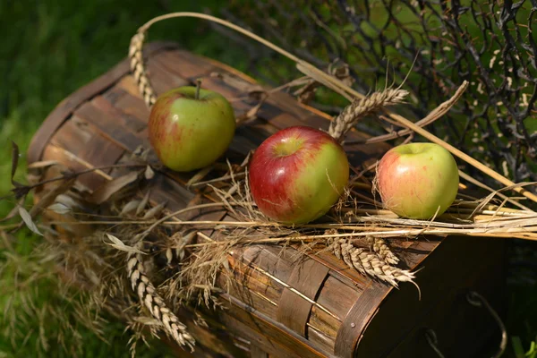 Stillleben mit reifen Äpfeln, Birnen und Weizenstacheln — Stockfoto