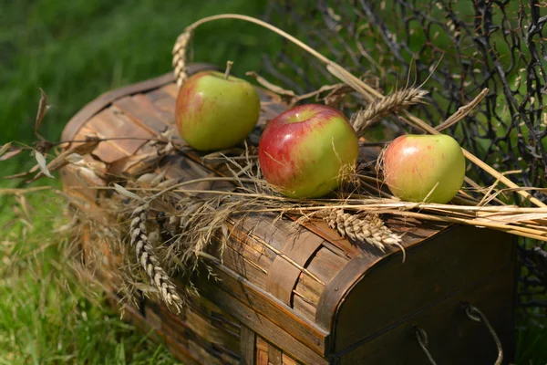 Az érett alma, a körte és a búza spikelets csendélet — Stock Fotó