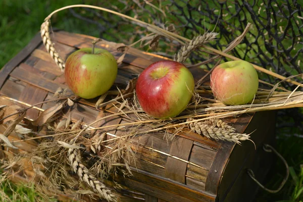 Stillleben mit reifen Äpfeln, Birnen und Weizenstacheln — Stockfoto