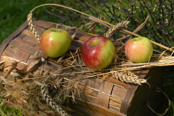 Stillleben mit reifen Äpfeln, Birnen und Weizenstacheln — Stockfoto