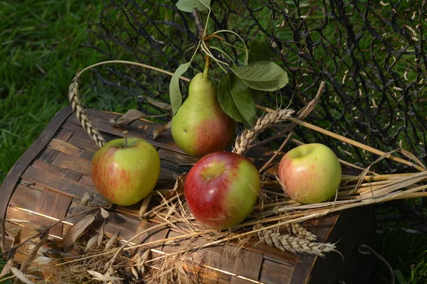Natureza morta com maçãs maduras, peras e espiguetas de trigo — Fotografia de Stock