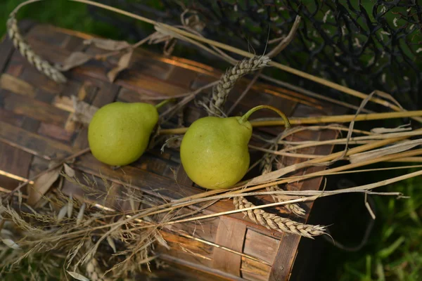 Stillleben mit reifen Äpfeln, Birnen und Weizenstacheln — Stockfoto