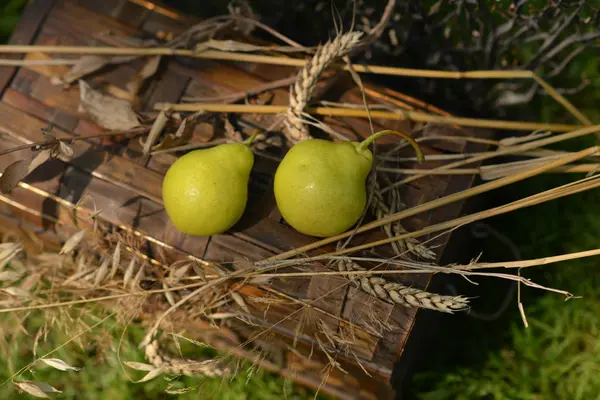 Masih hidup dengan apel matang, pir dan gandum spikelet — Stok Foto