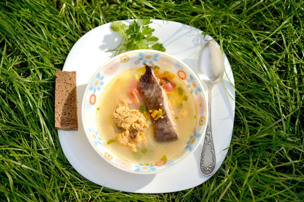 Oído. Sopa de pescado . — Foto de Stock