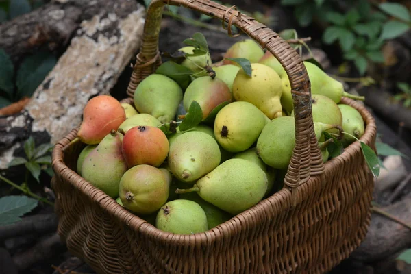 Fruits dans un panier en osier — Photo